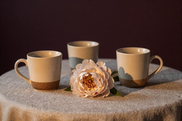 Three mugs and peony still life representing The Club community for size-positive members