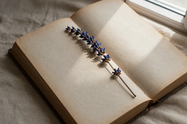 Open book and lavender flat lay illustrating the article on size preference